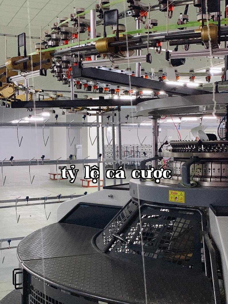 Máy dệt tròn sợi 3