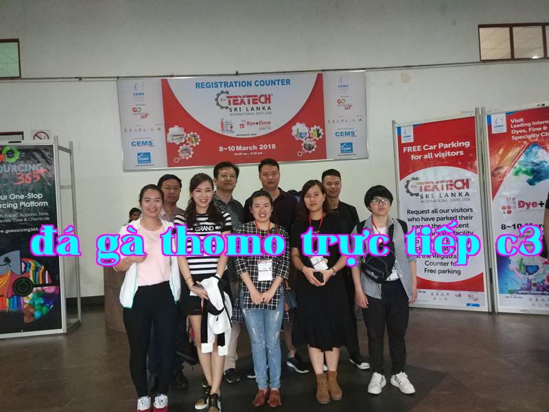 Triển lãm 5
