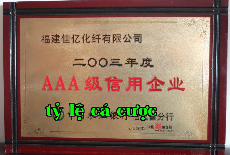Danh hiệu 12