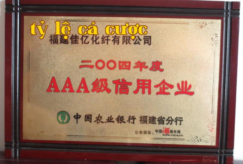 Danh hiệu 16