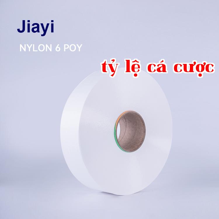 Sợi nylon partially oriented yarn (POY) dùng cho dệt và
