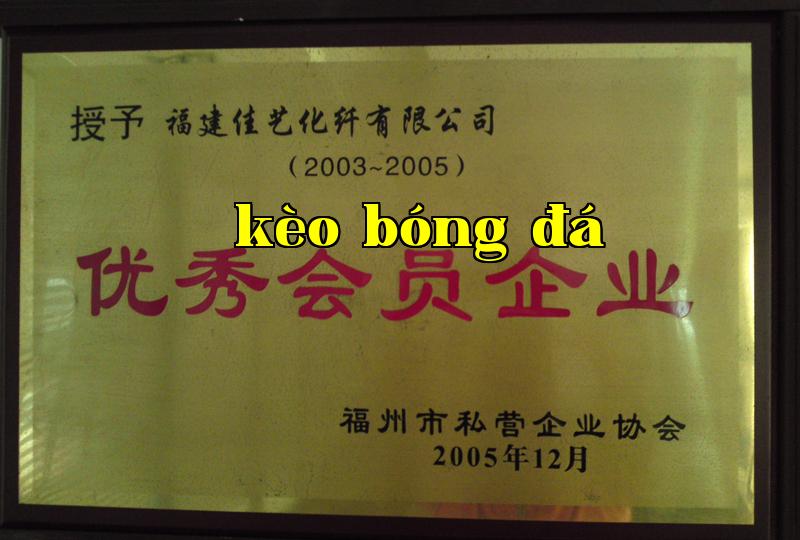 Danh hiệu 27