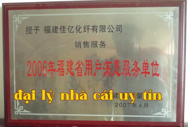Danh hiệu 13