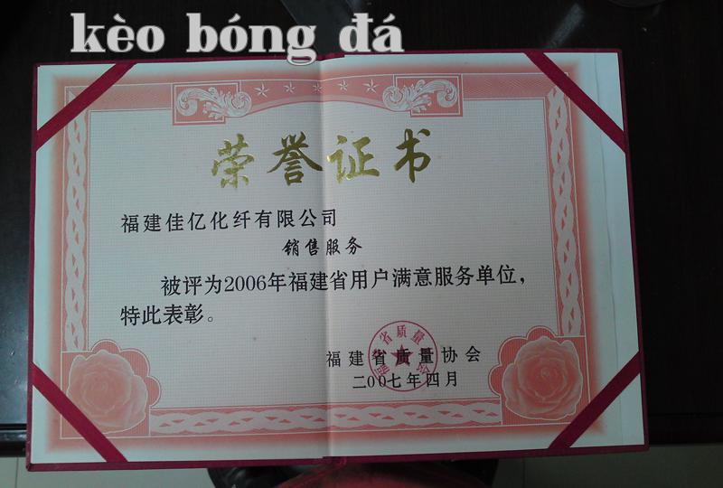 Danh hiệu 28