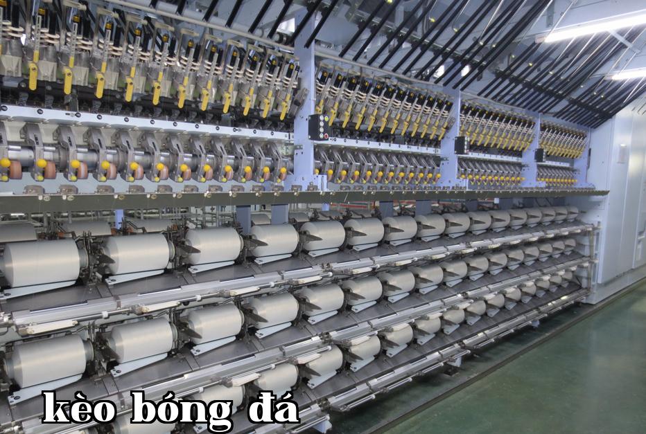 Mô tả01