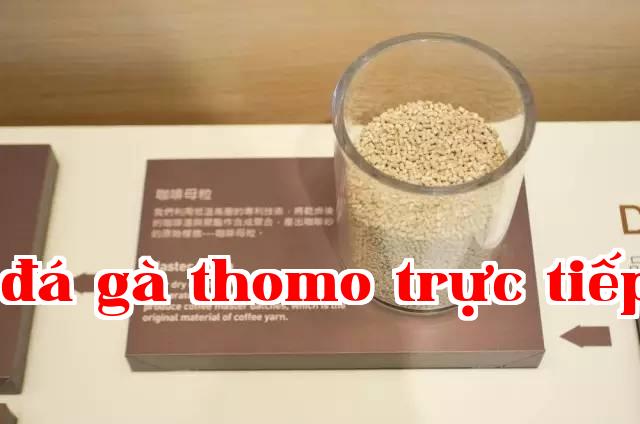 Bã cà phê không phải là rác 2
