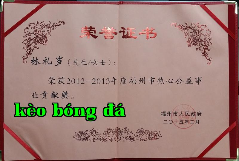 Danh hiệu 2