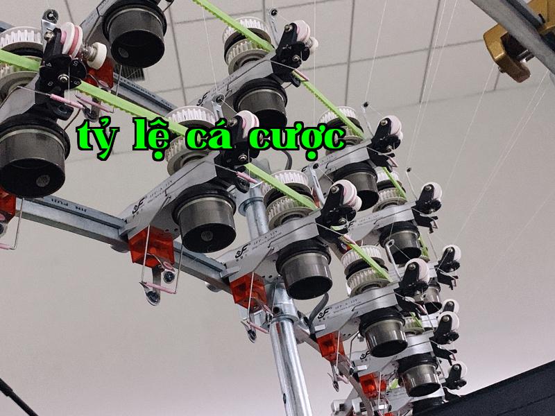 Máy dệt tròn sợi 2