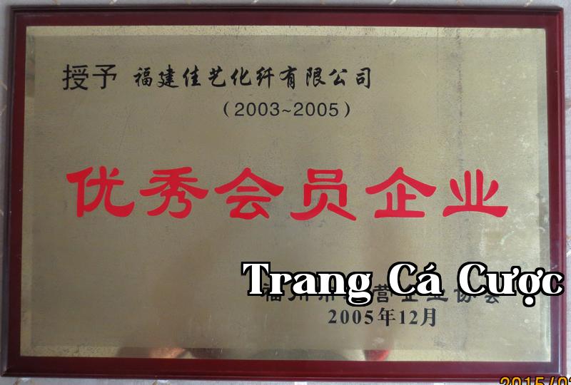 Danh hiệu 18