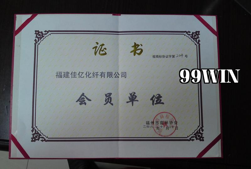 Danh hiệu 33