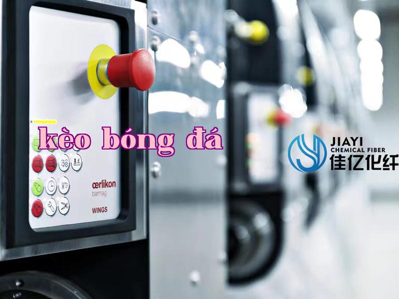 Ảnh công ty 1