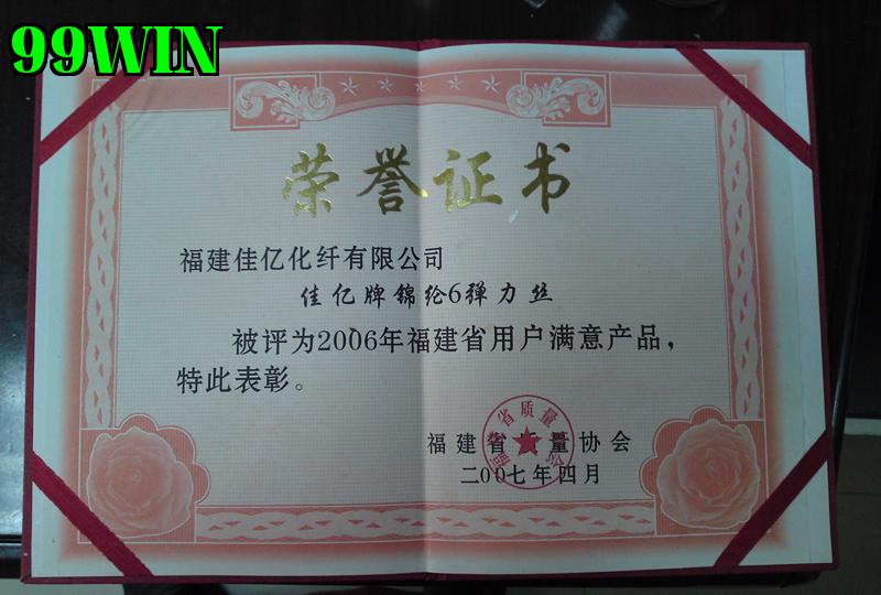 Danh hiệu 31