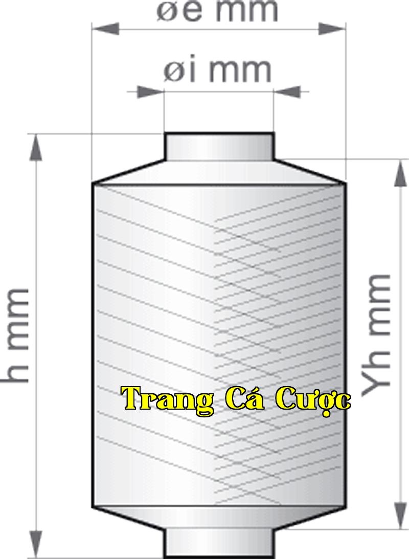 Vận chuyển và đóng gói 1