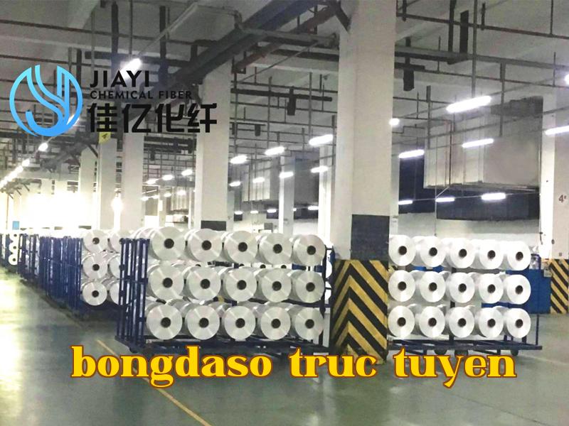 Ảnh công ty 4