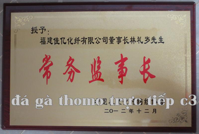 Danh hiệu 21